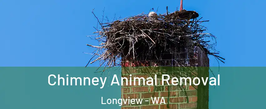 Chimney Animal Removal Longview - WA