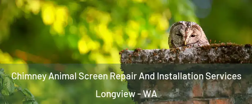  Chimney Animal Screen Repair And Installation Services Longview - WA