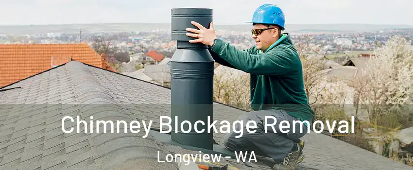  Chimney Blockage Removal Longview - WA