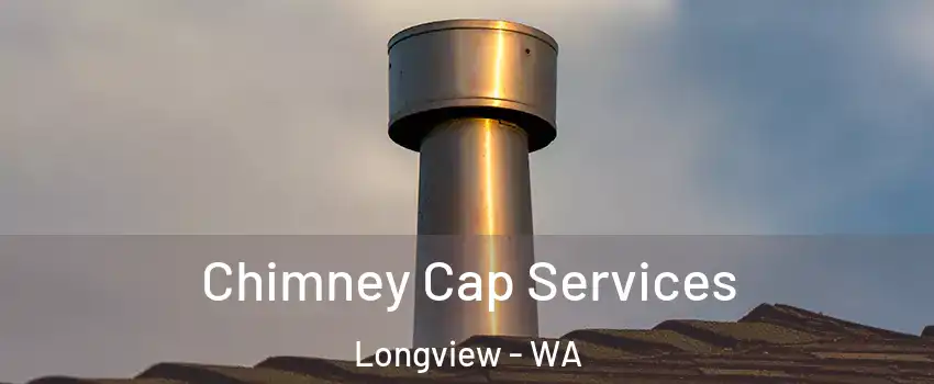  Chimney Cap Services Longview - WA