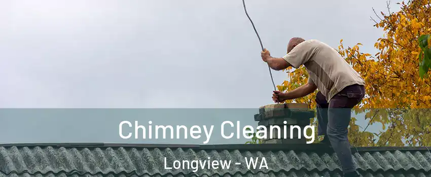  Chimney Cleaning Longview - WA