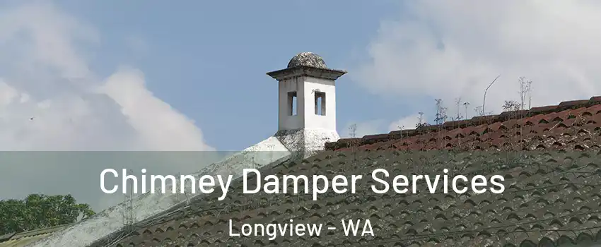  Chimney Damper Services Longview - WA