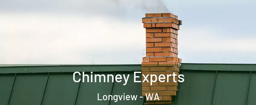  Chimney Experts Longview - WA