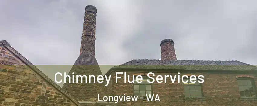 Chimney Flue Services Longview - WA