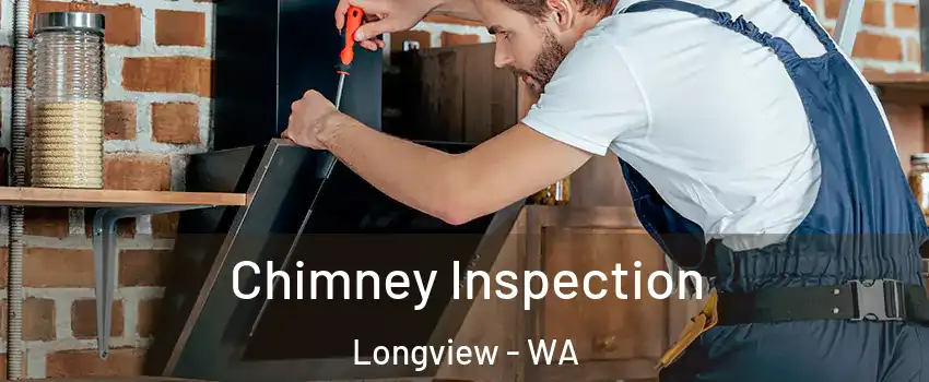  Chimney Inspection Longview - WA