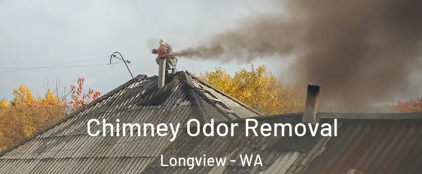  Chimney Odor Removal Longview - WA