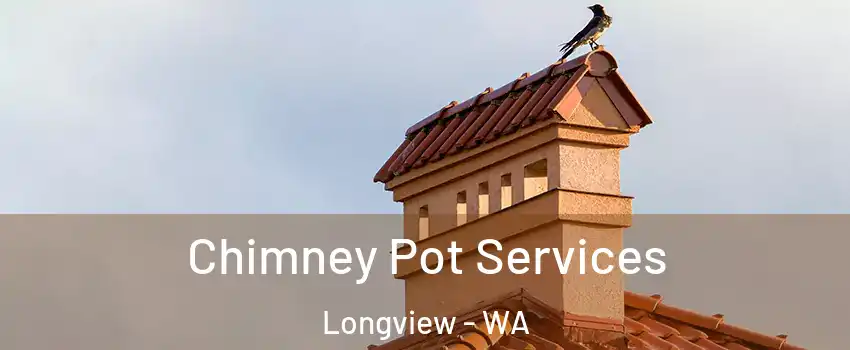  Chimney Pot Services Longview - WA