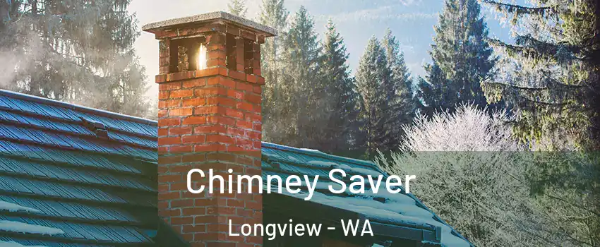  Chimney Saver Longview - WA