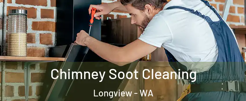  Chimney Soot Cleaning Longview - WA
