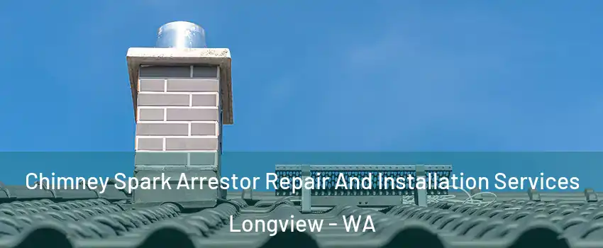  Chimney Spark Arrestor Repair And Installation Services Longview - WA