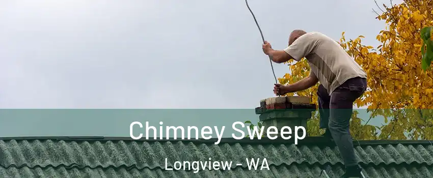  Chimney Sweep Longview - WA