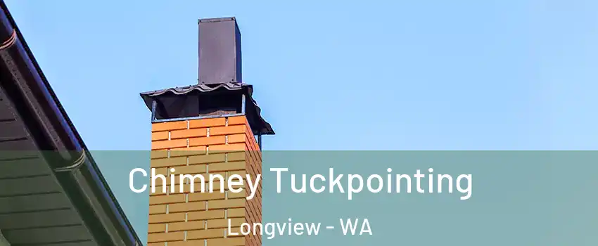  Chimney Tuckpointing Longview - WA
