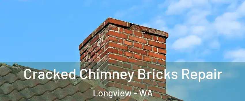  Cracked Chimney Bricks Repair Longview - WA