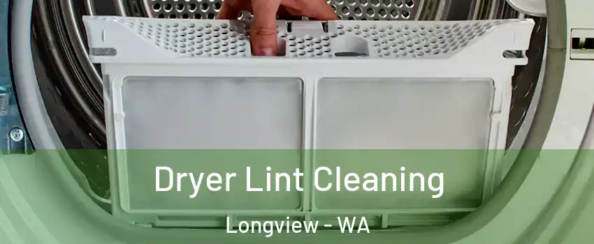  Dryer Lint Cleaning Longview - WA