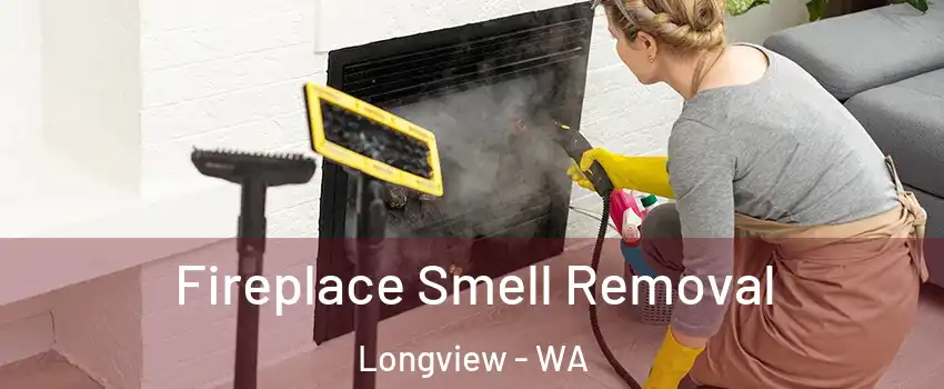  Fireplace Smell Removal Longview - WA