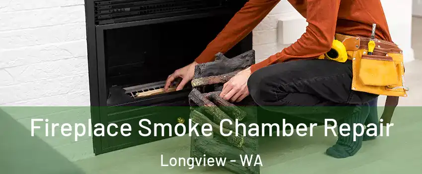  Fireplace Smoke Chamber Repair Longview - WA
