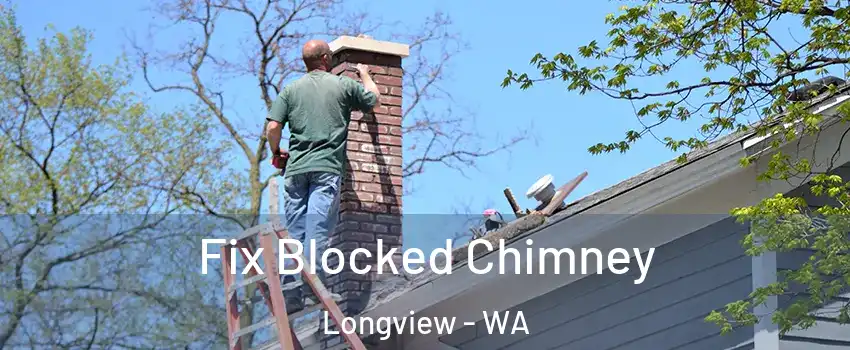  Fix Blocked Chimney Longview - WA