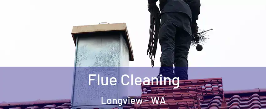  Flue Cleaning Longview - WA