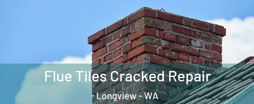  Flue Tiles Cracked Repair Longview - WA