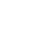 Professional Chimney Flue Installation in Longview, Washington