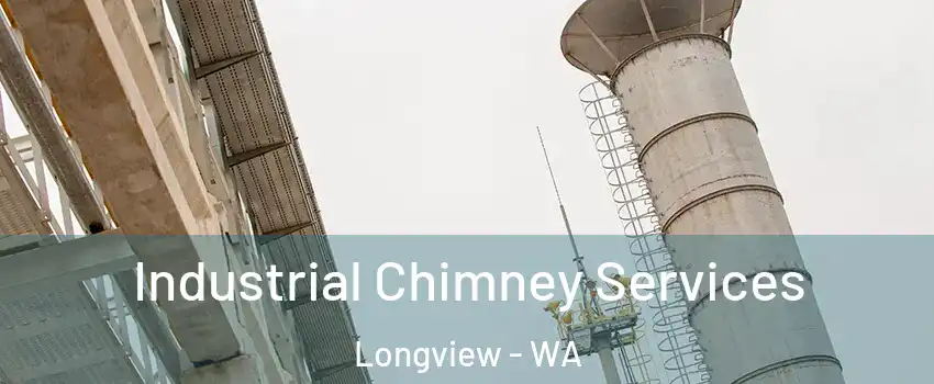  Industrial Chimney Services Longview - WA