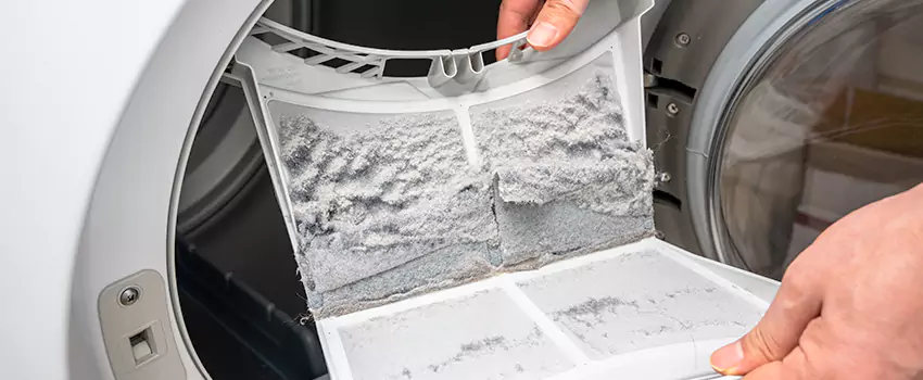 Best Dryer Lint Removal Company in Longview, Washington