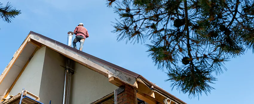 Birds Removal Contractors from Chimney in Longview, WA