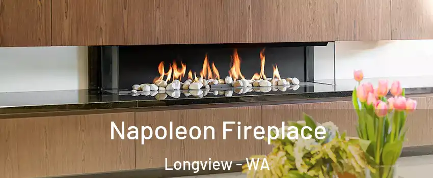  Napoleon Fireplace Longview - WA